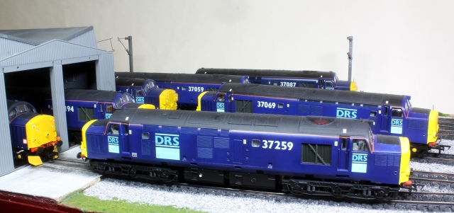 37259 & 37069 sit outside the as yet unfinished Shed on my small display layout, surrounded by a brace of other DRS repaints done this year. Can you tell that we like 37's !! 