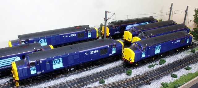 More Std Bachmann 37/0 and Refurbished 37 Models That have been Repainted and fitted with PHDesigns replacement resin noses to get the correct light arrangements on the ends. Here we have ( L - R, B - F ) 37609 and 37423. 37603 & 37069. 37194 & 37259. Finally 37059 at the front.Again all are finished with the excellent  Lancaster City Models DRS logos.
